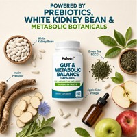 Capsules d'équilibre métabolique intestinal OEM ODM avec Inuline et Haricot Blanc pour la digestion et le métabolisme – Prix de gros direct usine
