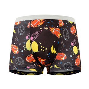 Nouveaux caleçons pour garçons en soie de lait, confortables et respirants, en polyester, motif dessin animé, pour enfants plus âgés et bébés garçons - Product Image 4