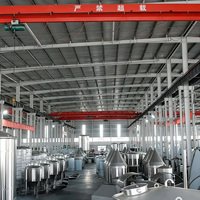 Cuve de Fermentation Conique en Acier Inoxydable HEM 3000L avec Système de Refroidissement Enveloppé pour Brasserie de Restaurant, Haute Productivité, PLC
