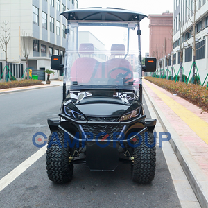 Voiture <span class=keywords><strong>de</strong></span> tourisme miniature <span class=keywords><strong>2</strong></span> <span class=keywords><strong>places</strong></span> à prix abordable, voiturette <span class=keywords><strong>de</strong></span> golf au lithium, voitures électriques avec benne <span class=keywords><strong>de</strong></span> chargement - Product Image 3
