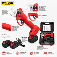 Kit de sécateurs sans fil en gros, batterie lithium 21V, coupe-branches électrique pour verger, jardin et aménagement paysager