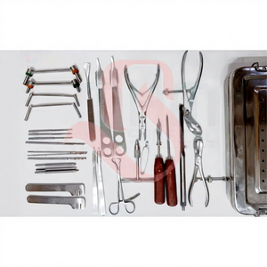 BISONS Juego de Instrumentos Quirúrgicos Ortopédicos de 30 Piezas para Fragmentos Pequeños al por Mayor |   Herramienta Manual de Acero Inoxidable de Alta Calidad para Cirugía Ósea - Product Image 1