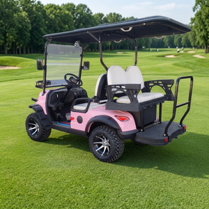 Voiturette de golf rose à 4 places, homologuée pour la route, entretien facile, pour les parcs, les attractions touristiques, les terrains de golf, les centres d'exposition - Product Image 6