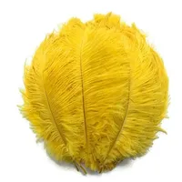 FREE Shipping 18-20in Ostrich Feather From Factory Supply Wedding Decor Feather Decor