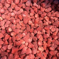 Fraise lyophilisée à prix d'usine couverte
