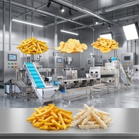 Ligne de production de frites à performance stable 500 kg/h, équipement complet de transformation des pommes de terre avec système d'emballage