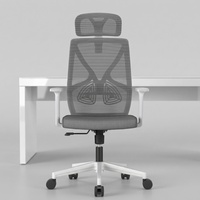 Chaise de bureau en maille avec dossier réglable et fonction ergonomique multifonctionnelle