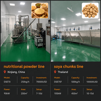 Ligne de production automatique de riz artificiel haute capacité, machine d'extrusion de grains de riz nutritifs enrichis, usine de fabrication