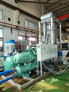Máquina de Hielo en Tubo Comestible Automática de Alta Fiabilidad y Larga <span class=keywords><strong>Vida</strong></span> Útil, de 5, 10, 15, 20, 25 y 30 Toneladas, en Filipinas - Product Image 3