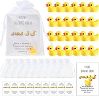 Cadeau inspirant pour les employés Mini canards en résine avec sacs en organza Vous esquivez Great Cheer up Cards Tiny Pocket Ducks