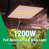 Lampe de culture à LED à spectre complet Lampe Phyto AC85-240V 40W pour la croissance des plantes de tente d'intérieur Lumière de croissance