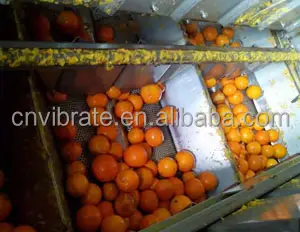 Vbjx Automatische Citroensinaasappelolie Koude Pers Essentiële Citrusafzuigmachine