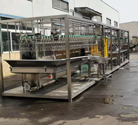 Ligne d'abattage de lapins Ligne d'abattoir de poulets volailles Ligne d'équipement d'abattage