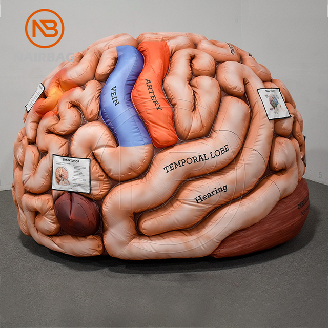 Giant Inflatable Brain Body Organs Model for Educational Medical Exhibition