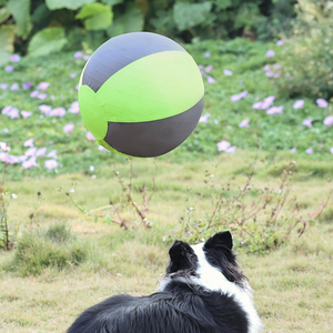 Nouvelle balle de dressage durable et écologique pour animaux de compagnie, accessoires de sport en plein air, balle de dressage pour chiens, jouets interactifs pour animaux de compagnie - Product Image 5