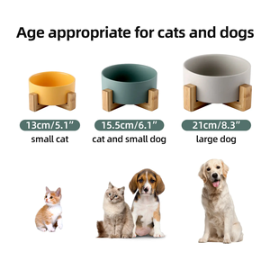 Gamelle Orthopédique en Porcelaine pour Chat et Chiot avec Base en Bambou – Luxe Moderne Anti-Vomissement et Protection du Cou - Product Image 6