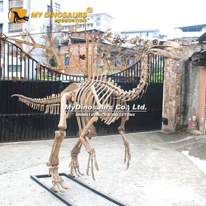 Mon squelette d'animal préhistorique éducatif fait main haute <span class=keywords><strong>simulation</strong></span> Dino <span class=keywords><strong>DS</strong></span>-118 - Product Image 5