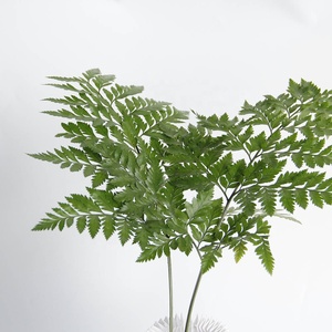 Petites feuilles de fougère préservées, colorées et attrayantes, avec tige, pour la décoration florale de jardin et de Noël - Product Image 2