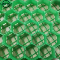 Gazon en plastique HDPE noir, pavé pour stationnement