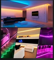 Bande lumineuse LED RGB WS2811 12V 30/60 LED/m, effet de poursuite, éclairage dynamique programmable, pixels adressables, bande lumineuse flexible
