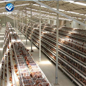 La migliore vendita mangiatoie automatiche layer galline batteria allevamento di polli posa gabbia per uccelli per attrezzature per l'allevamento di animali a strati - Product Image 3