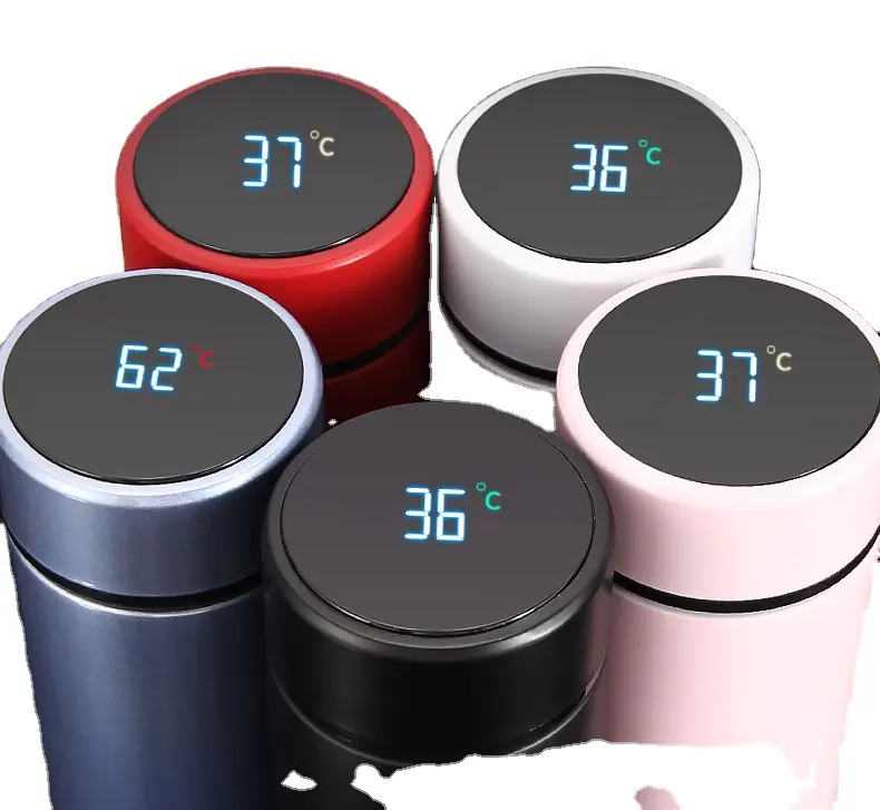 Bouteille intelligente à double paroi en acier inoxydable 304, flacon sous vide, thermos intelligent avec affichage de la température, pour moto, pour Fahrenheit