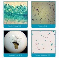 50 Pcs Botany Prepared Microscope Slides with Plant for University Education