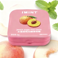 Grosir permen kualitas buah Lemon rasa Mint permen bebas gula Mint