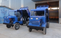 Camion Benne Chinois Économique 4x4, Petit Véhicule Agricole Diesel de Ferme, Tracteur Mini Camion de Transport