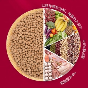 Usine complète de fabrication d'aliments flottants pour poissons et crevettes, capacité 2 tonnes <span class=keywords><strong>par</strong></span> <span class=keywords><strong>heure</strong></span> - Prix - Product Image 2