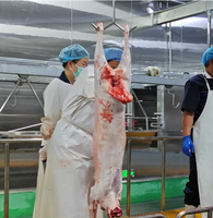 Solution industrielle d'abattage du bétail, ligne de transformation de la viande de chèvre et d'agneau