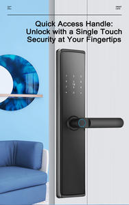 एक्सेललॉक कस्टम सस्ते थोक मोर्टस डोर हैंडल Rfid tuya Wifi रिमोट अनलॉक स्मार्ट टी लॉक - Product Image 3
