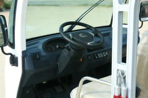 NUEVO Carro de Golf Eléctrico para Turismo, Color Personalizado, Ecológico, de 4 a 17 Asientos, 20-30 km/h - Product Image 5