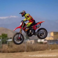 1/4 Promoto SM Motocicleta de Control Remoto Todoterreno Eléctrica sin Escobillas Modelo de Coche RTR de Plástico 0-24 Meses