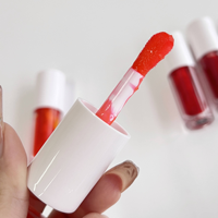 Teinte à lèvres longue tenue, gloss vegan mat, maquillage à marque privée, teinte à lèvres liquide avec étiquette privée