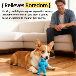 KINYU çevre dostu naylon kas köpek oyuncak katı desen yaratıcı şekil çiğnemek dayanıklı özelleştirilebilir - Product Image 6