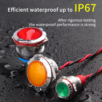 Lumière indicatrice à tête sphérique WD 16 mm, utilisée pour les dispositifs de boucle LED d'avertissement, équipement de lumière indicatrice métallique IP67