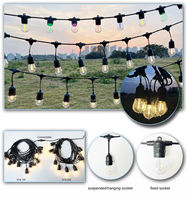 Guirlande lumineuse décorative LED noire étanche IP65, événement, camping, extérieur, festoon, 100m, connectable, E27 S14, ceinture, dimmable, extérieur