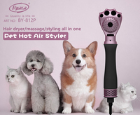 Brosse de massage électrique 400W au design élégant pour chien, multi-styler sèche-cheveux avec brosse à air chaud pour usage domestique et hôtelier