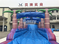 Toboggan aquatique gonflable commercial pour la maison, la cour arrière, pour enfants et adultes, toboggan aquatique gonflable avec piscine