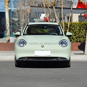Voiture électrique pure neuve 2024 GWM ORA Good Cat EV à 4 roues à vendre - Product Image 3
