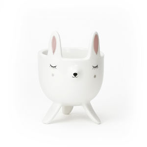 <span class=keywords><strong>Pot</strong></span> de fleurs en céramique en porcelaine peint à la main avec pieds pour jardin restaurant avec lapin éléphant grenouille renard chat design - Product Image 4