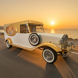 Cercueil funéraire électrique de luxe vintage blanc doré, modèle populaire, de haute qualité, pour chevaux, à vendre - Product Image 1