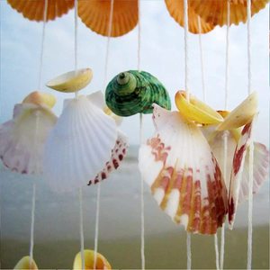 Ixed EA Hells <span class=keywords><strong>100</strong></span> + CS cada uno shells Fish tarfish arious miza Ocean eaeashell para ish ank ase illers. - Product Image 3