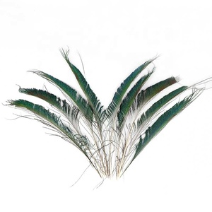Spada Artigianale Xinyuling con <span class=keywords><strong>Piume</strong></span> di <span class=keywords><strong>Pavone</strong></span> 30-40cm |   <span class=keywords><strong>Piume</strong></span> di Fagiano Naturali Tinte di Qualità Superiore Selezionate per Decorazioni Matrimoniali e Feste - Product Image 4