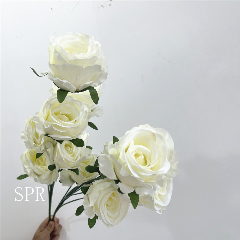 SPR-AF23823-25