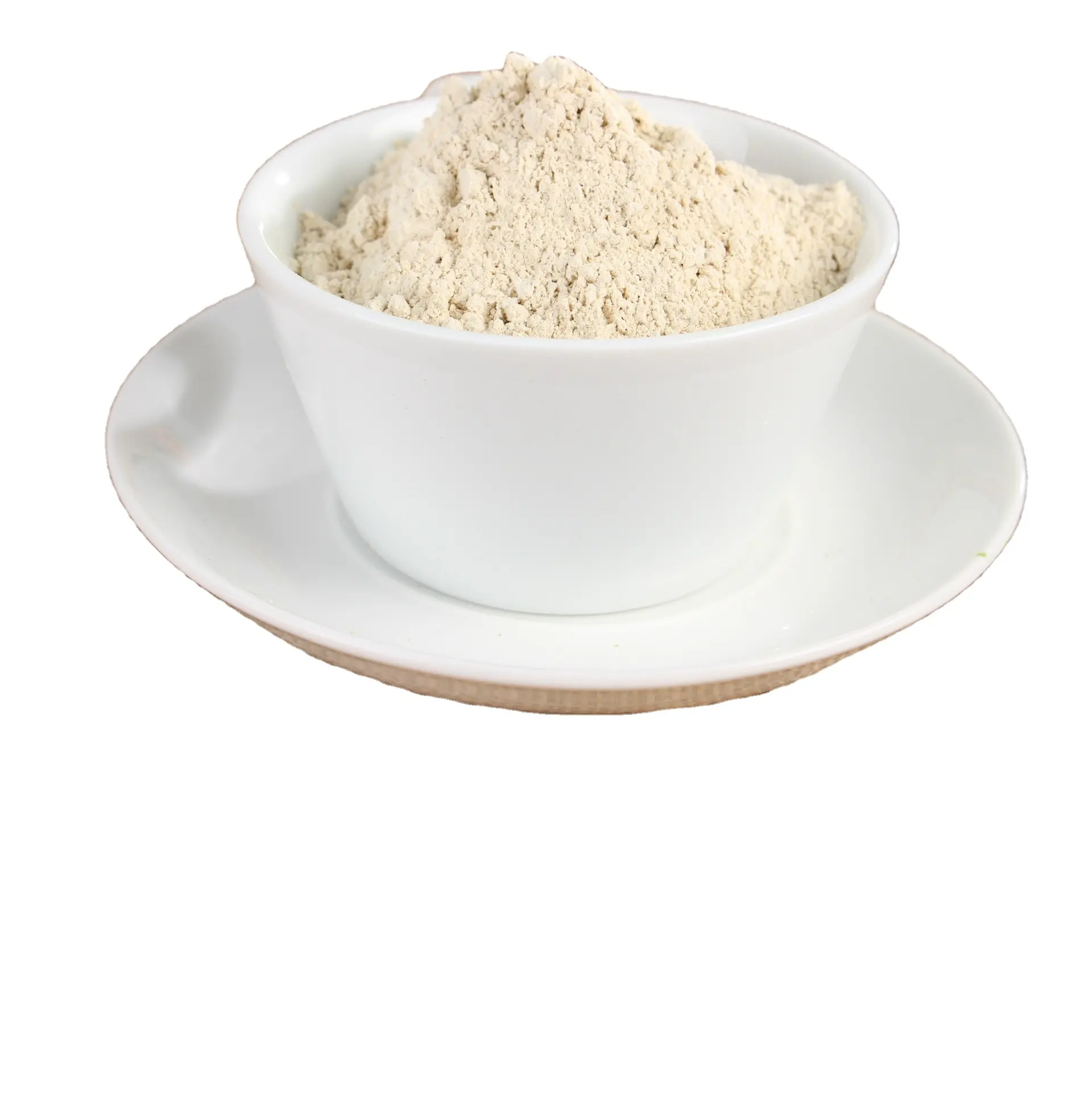 Agenti aromatizzanti in polvere di aglio disidratato della migliore qualità del rifornimento della fabbrica