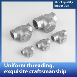 304 thép không gỉ Hướng dẫn sử dụng nước ngang van kiểm tra với 316 chủ đề nội bộ 4-6 điểm Swing kiểm tra van cho dầu và khí đốt - Product Image 4