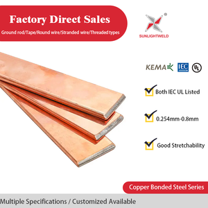 Varilla <span class=keywords><strong>de</strong></span> <span class=keywords><strong>Tierra</strong></span> <span class=keywords><strong>de</strong></span> Acero Recubierto <span class=keywords><strong>de</strong></span> Cobre <span class=keywords><strong>de</strong></span> 40x4mm, Conductores Planos en Cinta, Precio Mayorista, Proveedor Chino <span class=keywords><strong>de</strong></span> Materiales <span class=keywords><strong>de</strong></span> Puesta a <span class=keywords><strong>Tierra</strong></span> para Sistemas <span class=keywords><strong>de</strong></span> Conexión a <span class=keywords><strong>Tierra</strong></span> - Product Image 3