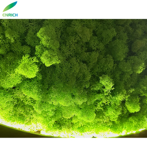 Mousse verte LED Lustre Lumière Intérieure Émettant Son Absorbable Combinaison Anneau Cercle Verseau Pendentif Acoustique pour Usage Bureau - Product Image 3